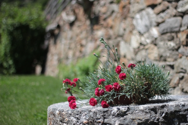 Mühlstein in neuem Gewand IMG_9027