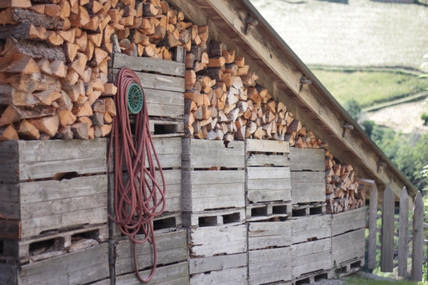 Holz vor der Hütten IMG_9022
