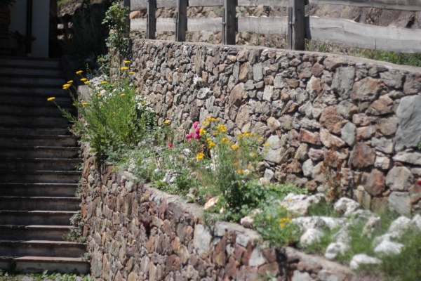 Traditionelle Natursteinmauer IMG_9038