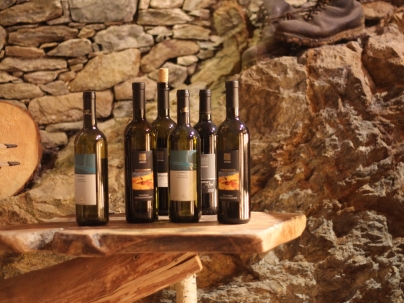 Schöne Weinauswahl IMG_0852