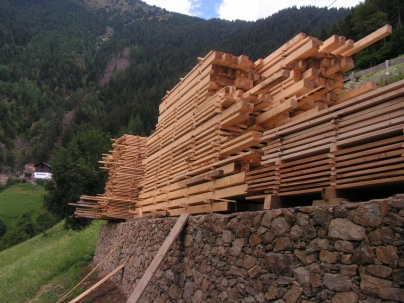 Unser Holz für den Hausbau